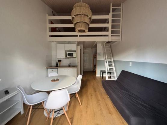 1 room appartment with mezzanine