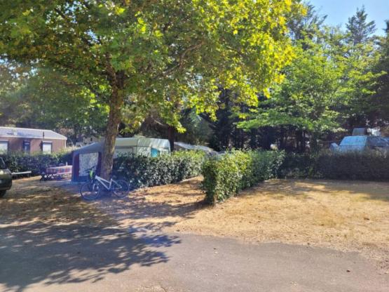 Parcel•la: cotxe + tenda/caravana o càmping-car + electricitat 10A