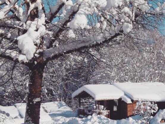 7.CHALET BOIS MONTAGNE 35m² with disabled access and terrace *