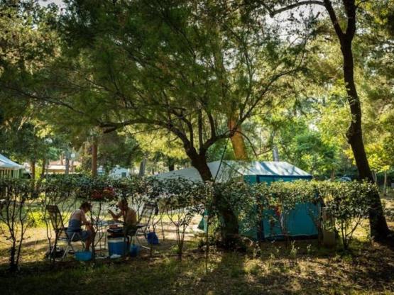 Pitch CONFORT + (> 85m²) optional electricity