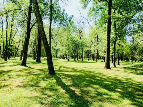 Pitch Trekking Package by foot or by bike with tent