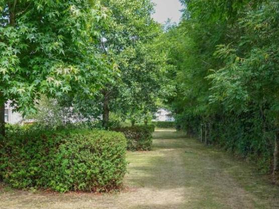 Package : Pitch + 1 car + electricity