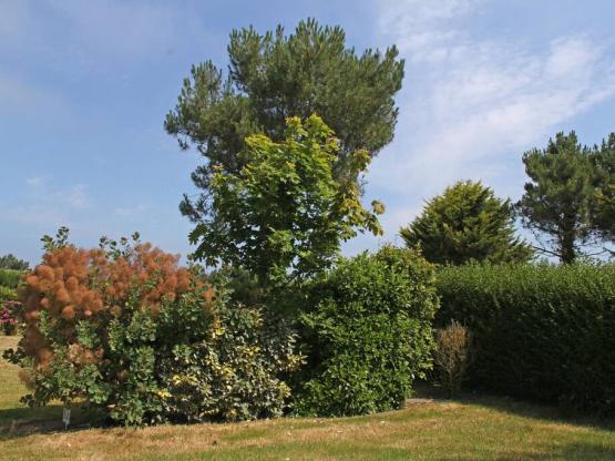 Comfort pitch and over + 2 persons (car + caravan or tent + electricity)