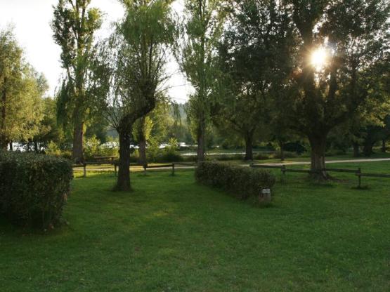 Pitch: car + tent or caravan+ camping-car