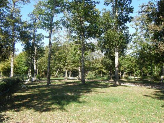 Stellplatz Komfort (1 Zelt, Wohnwagen, Wohnmobil / 1 Auto / Strom 10A)