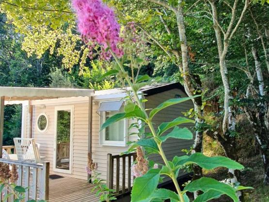 Mobile home Confort 18m² (1 bedroom) + TV + Half-covered terrace