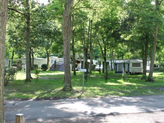 Pitch with car + tent, caravan or camping-car + electricity 10 A + 2 adults included