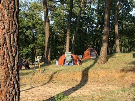 Forfait cycliste / motard