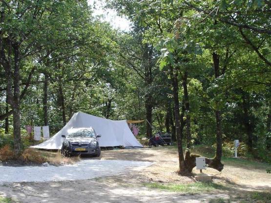 Quiet Pitch XL Sémillion with shadow - in the forest, for caravan or tent only - 100 à 120 m² - Electricity included