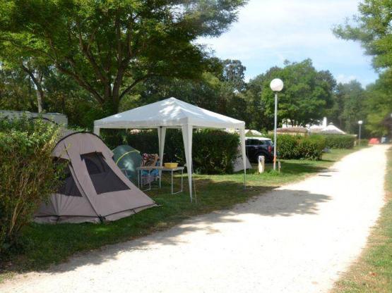 Stellplatz Nature (1 stellplatz / 1 Auto)