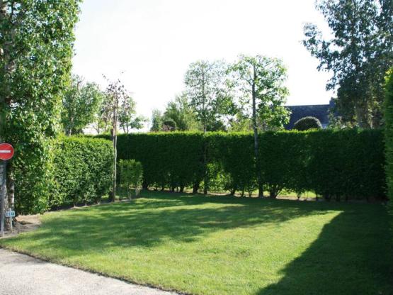 Medium size Pitch for tent or caravan