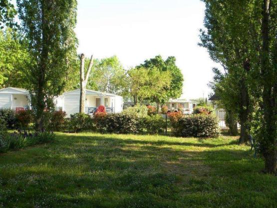 Pakket : standplaats + 1 voertuig + tent of caravan