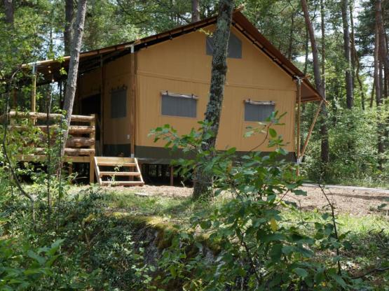 Lodge SAFARI nr 81, 82, 88-1 -