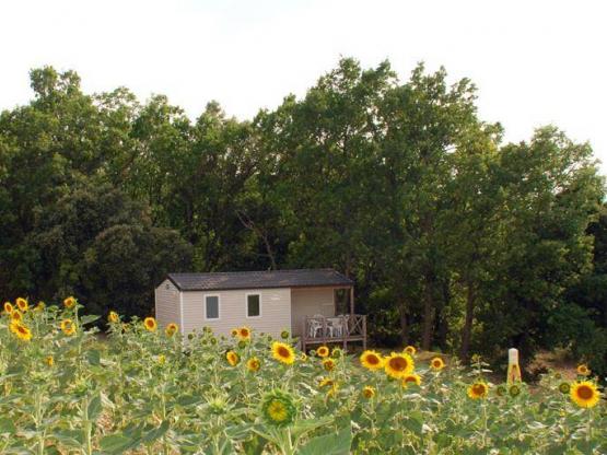 Mobilhome (2 bedrooms)