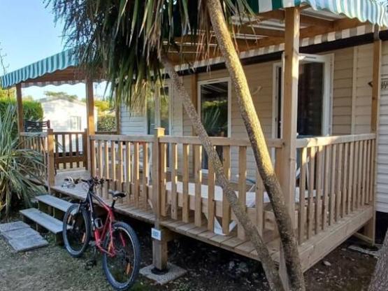 Mimosa 2 bedrooms 33m² + TV