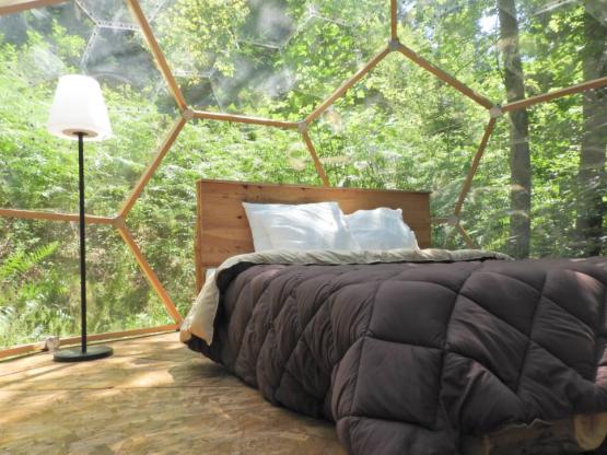 Starry dome