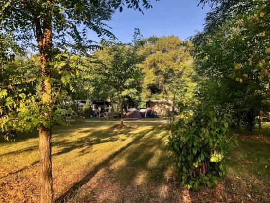 05 Pitch XL PREMIUM (150m²)  vehicle + electricity 10A + Water + Evacuation +150m²