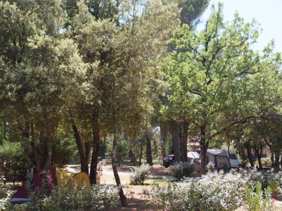 Privilege Package (1 tent, caravan or motorhome / 1 car / electricity 10A)