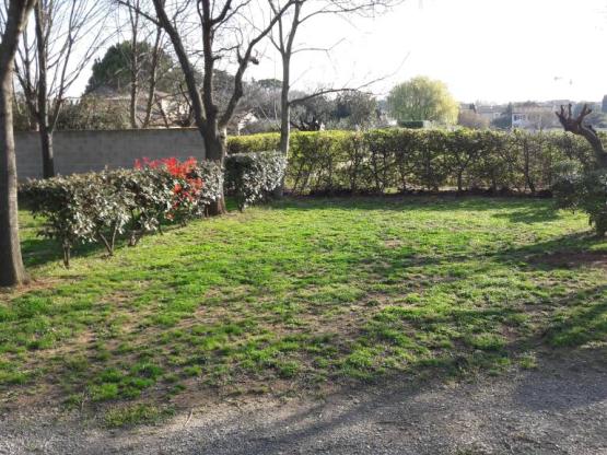 Privilege Package (1 tent, caravan or motorhome / 1 car / electricity)