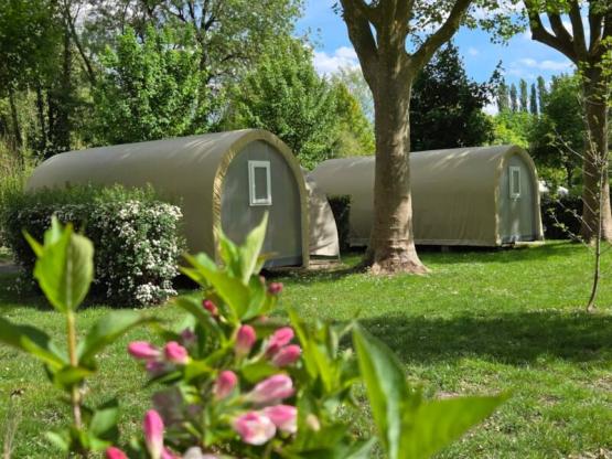 CocoSweet 16m² without private sanitory + free wifi  (No TV). No pets