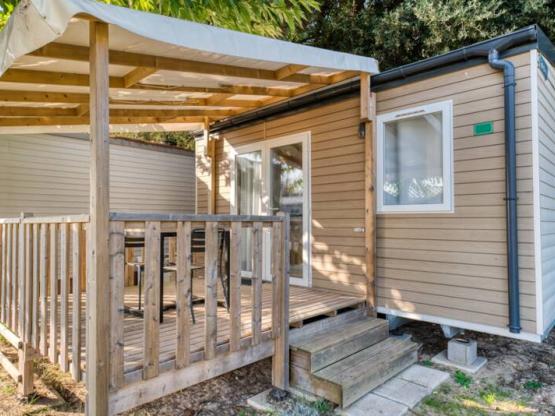 Tiny 1 bedroom