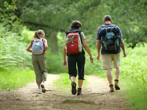 SPECIAL PRICE FOR CYCLISTS / HIKERS - 1 night only