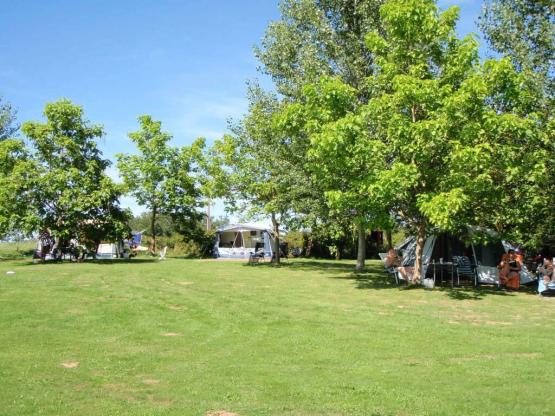 Camping Pitch including 6 amp electricity (TCMQ)