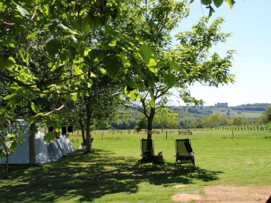 Camping Pitch including 6 amp electricity (TS)