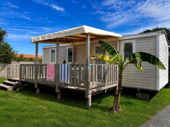 Mobile home Super Titania - 28,3m² - 3 bedrooms