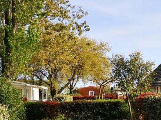 Standplaats comfort : auto + tent / caravan of kampeerauto + electriciteit