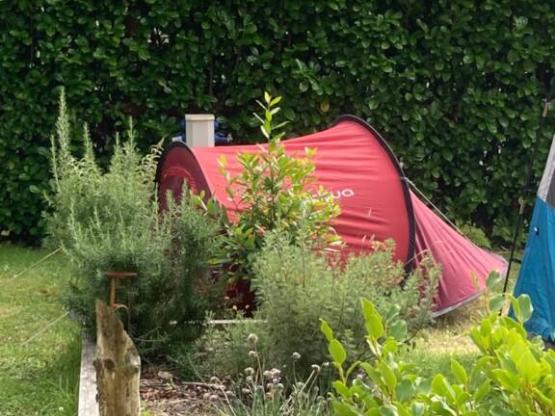 Nature Pitch  - tent, caravan or motorhome >100m² - 4pax max