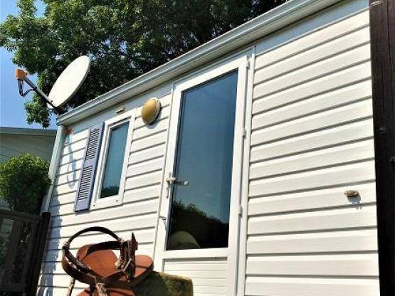 Mobile-home eucalyptus