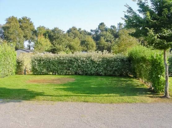 Pitch with electricity