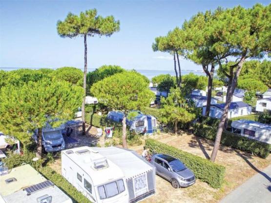 Caravan / Motorhome / Tent Pitch (Parc Les Pins)