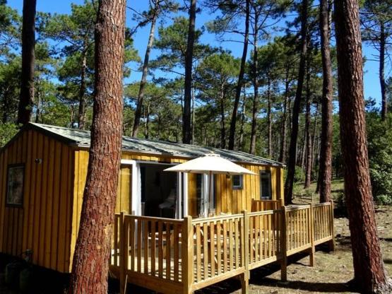 Cottage Premium 33,80 m²