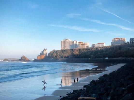 Pitch PREMIUM (no tents allowed)