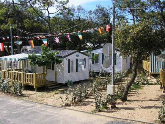 Pitch + 1 car + tent , caravan or camping-car