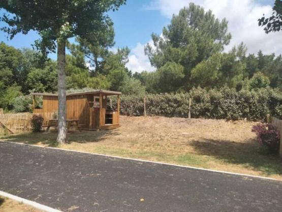 A Package : Pitch + vehicle