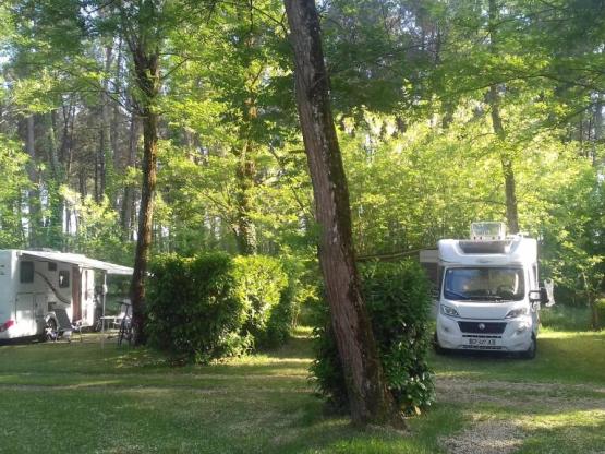 Shaded, half shaded or sunny location to you to choose