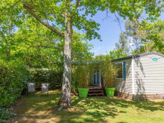 OLEA - 31 m² - 3 Zimmer mit überdachte Terrasse - N° 28