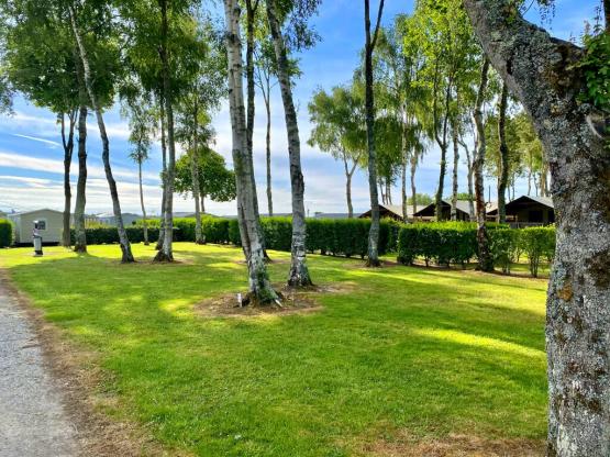 Pitch for solo camper