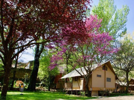 Lodge Prairie 30m² + 15m² - 2 bedrooms - spa- kitchen - bathroom