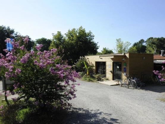Tent Lodge confort(2 bedrooms) + sheltered terrace