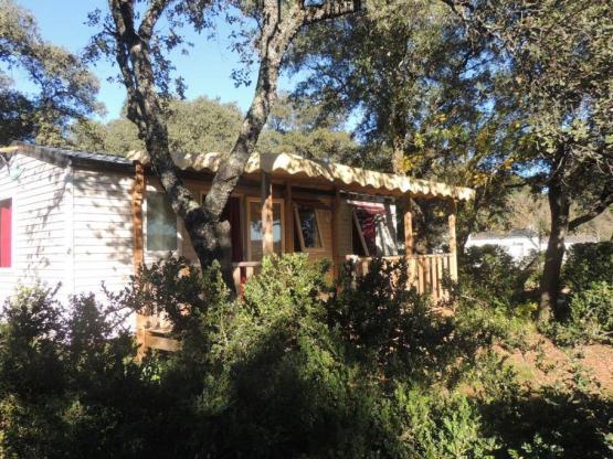 Mobil-home Confort FAMILY PLUS 32m² (3 Bedrooms - Covered terrace ) INCLUDED TV