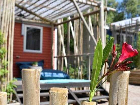 Mobile-home TOI & MOI 18m² - TRENDY RANGE