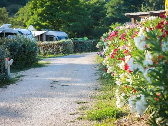 Basisprijs Comfortplaats (1 tent, caravan of camper / 1 auto / elektriciteit 10A)