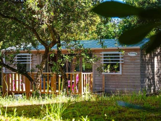 Mobilheim PREMIUM 2 Zimmer - 2 Badezimmer und Halb überdeckt Terrasse - 33 m²