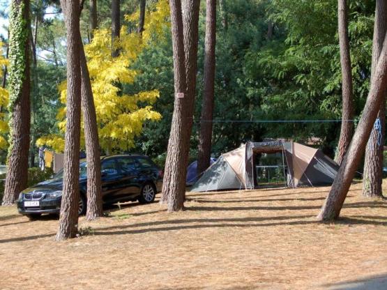 Comfort Package + electricity  10A