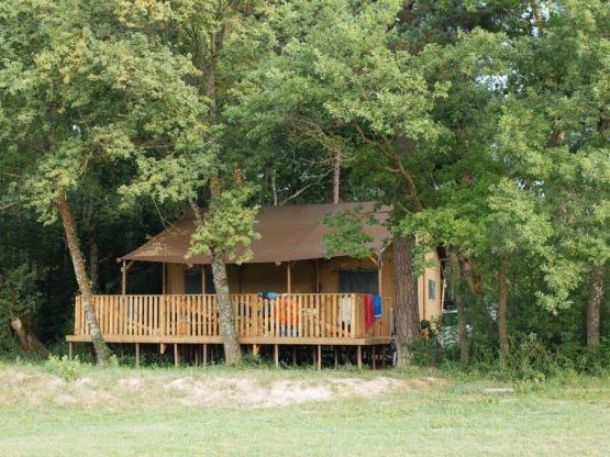 Lodge SAFARI PREMIUM (field view) nr 53, 58, 59, 70, 73 -