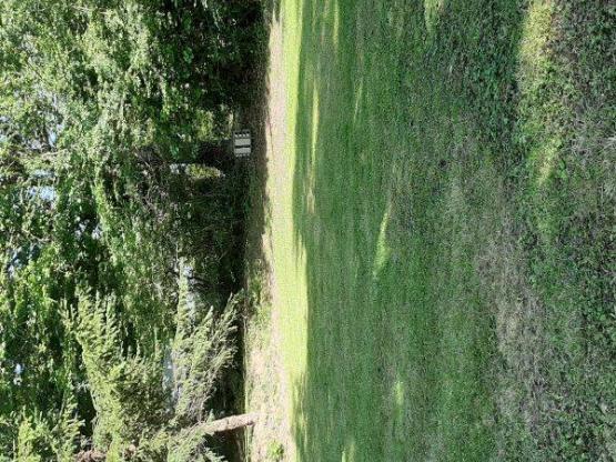 Pitch tent + electricity 6A